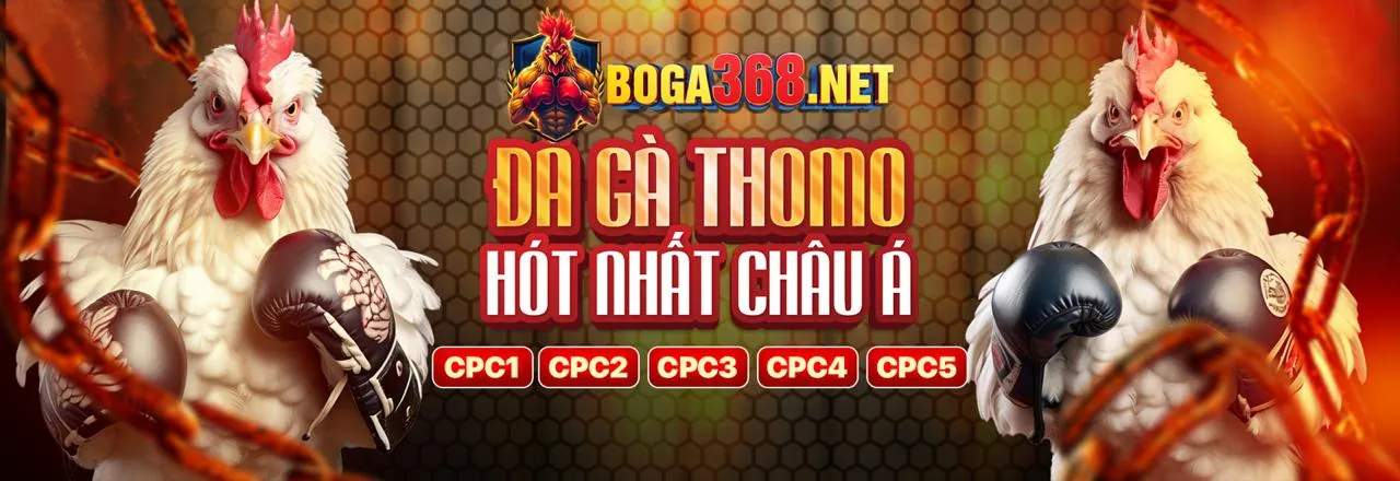Giao diện tổng quan nhà cái New88